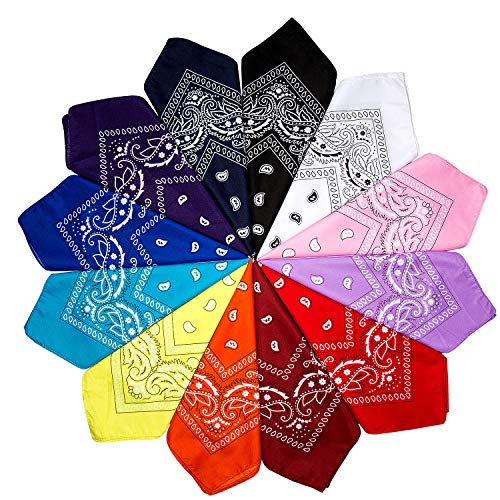 ZWOOS Bandanas Paisley, 12 Piezas Foulards, Pañuelos para el cuello para Hombre y Mujer (12 Colores)