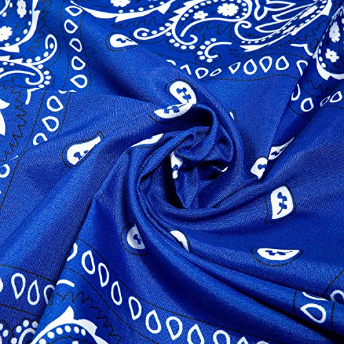 ZWOOS Bandanas Paisley, 12 Piezas Foulards, Pañuelos para el cuello para Hombre y Mujer (12 Colores)