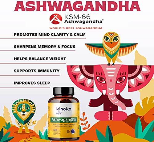 Ashwagandha KSM-66 180 cápsulas 500mg con Pimienta Negra para Máxima Absorción | 5% de Withanolidos | 100% Vegano | Withania Somnifera | Sin estearato magnesio | Sin Gluten | No OGM | Ashwagandha