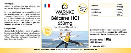 Betaína HCL 650mg – Clorhidrato de Betaína – 120 cápsulas