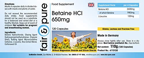 Betaína HCl 650mg - Clorhidrato de Betaína - Vegana - Alta pureza - 120 Cápsulas
