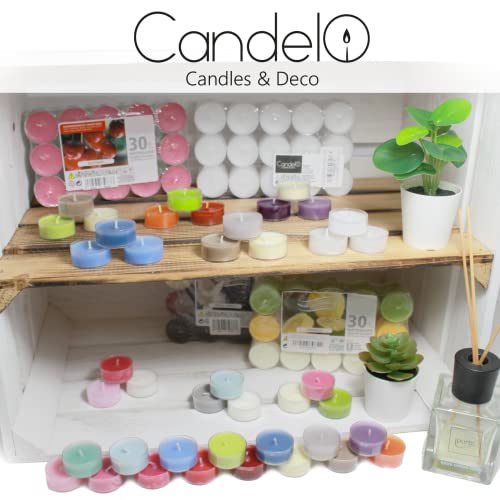 Candelo - Juego de 18 velas aromáticas de ambiente (aroma de rosa negra, velas de té negras, en funda de plástico, 3,8 x 1,7 cm, 4 horas de combustión)