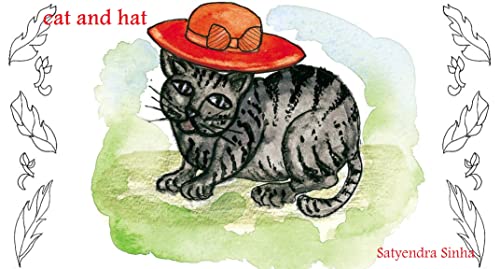 Cat and Hat Story : Illustrated Children's Picture Book (English Edition)