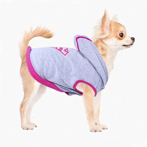 CERDÁ LIFE'S LITTLE MOMENTS Cerdá - Forfanpets | Ropa Para Perros De Super Girl - Licencia Oficial Dc Comics