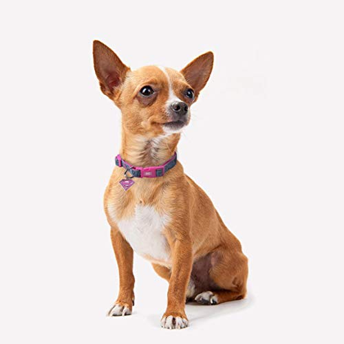 CERDÁ LIFE'S LITTLE MOMENTS Collar para Perros Medianos de Super Girl® - Licencia Oficial Super Girl®