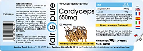 Cordyceps Sinensis puro y vegano - Polvo encapsulado - Cordyceps 650mg - Alta pureza - 120 Cápsulas