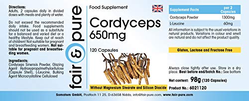 Cordyceps Sinensis puro y vegano - Polvo encapsulado - Cordyceps 650mg - Alta pureza - 120 Cápsulas