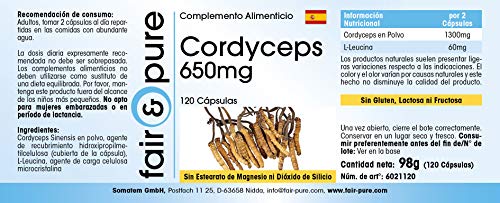 Cordyceps Sinensis puro y vegano - Polvo encapsulado - Cordyceps 650mg - Alta pureza - 120 Cápsulas