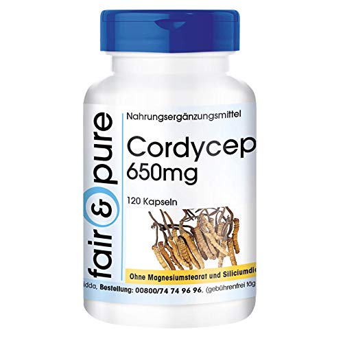 Cordyceps Sinensis puro y vegano - Polvo encapsulado - Cordyceps 650mg - Alta pureza - 120 Cápsulas