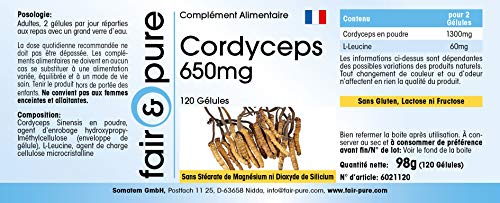 Cordyceps Sinensis puro y vegano - Polvo encapsulado - Cordyceps 650mg - Alta pureza - 120 Cápsulas
