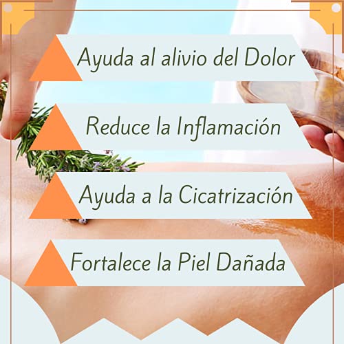 Crema Arnica | Alivia/Calma Dolores Musculares y Articulares Gracias a su Fórmula Antiinflamatoria NATURAL de Arnica | Usado por Deportistas de ÉLITE | Calidad Alemana