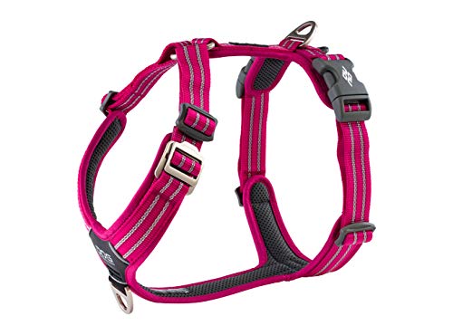 DOG Copenhagen Hundegeschirr V2 Walk Harness (Air) Wild Rose Talla S