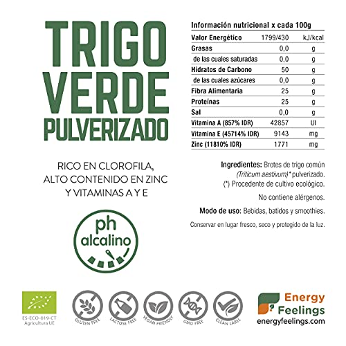 Energy Feelings Hierba De Trigo Verde Ecológica Pulverizada, Xxl, color Verde, 1000 g