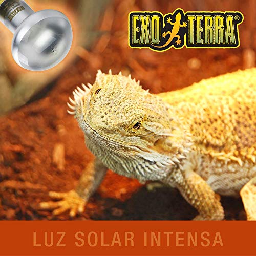 EXO TERRA Foco Directo Sun GLO, 75 W