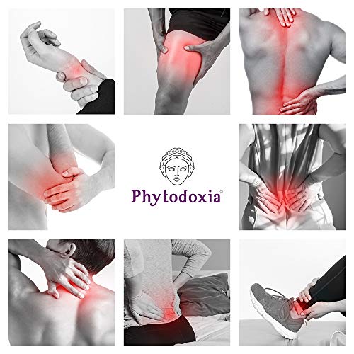 Gel Physio 500 ml | Crema Dolores Musculares y Articulaciones | Masaje Relajante Muscular Dolor de Espalda | Antiinflamatorio Natural Deporte Fisioterapia | Harpagofito Arnica Calendula Hiperico Menta