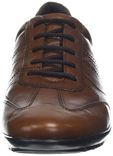 Geox UOMO SYMBOL B Piso Oxford Hombre, Marrón (Brown), 41 EU