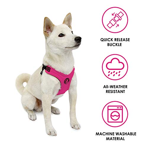 Gooby Arnés Deportivo sin Escape, Color Rosa, Grande, sin tirones, Patentado de Neopreno para Perros pequeños con Ajuste de Cuatro Puntos, Perros medianos y sin tirones y Perros pequeños