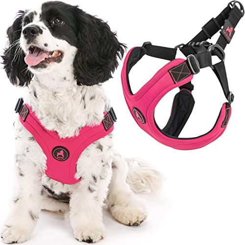 Gooby Arnés Deportivo sin Escape, Color Rosa, Grande, sin tirones, Patentado de Neopreno para Perros pequeños con Ajuste de Cuatro Puntos, Perros medianos y sin tirones y Perros pequeños