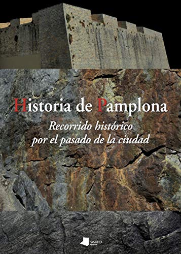 Historia de Pamplona: Recorrido histórico por el pasado de la ciudad: 221 (Ensayo y Testimonio)