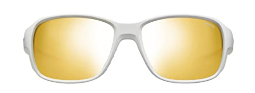 Julbo REACTIV Performance 2-4 Gafas de Sol, Adultos Unisex, Gris (Gris), Talla Única