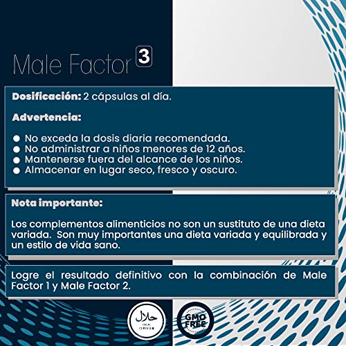 Male Factor 3 para los hombres | Potenciador de testosterona y libido 100% natural | RAÍZ DE MACA - ZINC - SELENIO | 60 Cápsulas | Fabricado en Holanda por ReAge®