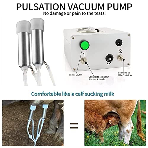 MFFANA Ordeñadora Eléctrica para Cabras, Bomba De Vacío De Impulsos Reforzada, Parada Automática De Ordeño, Cubeta De Leche De Acero Inoxidable, con Cepillos Tubulares (Color : Cattle, Size : 7L)