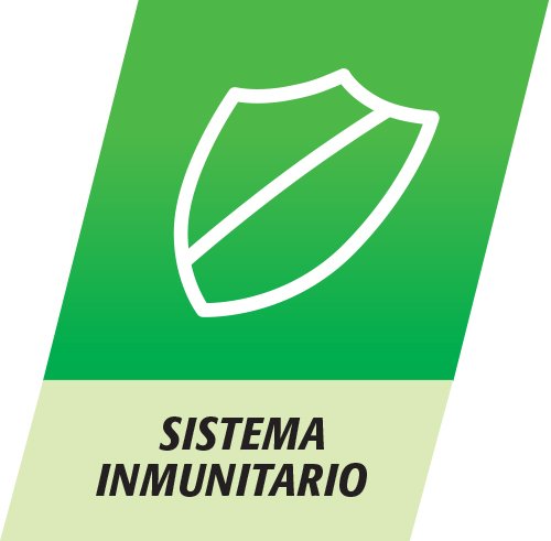 Multicentrum Complemento Alimenticio Multivitaminas con 13 Vitaminas y 11 Minerales, Sin Gluten, para Adultos y Adolescentes a Partir de 12 Años, 90 Comprimidos