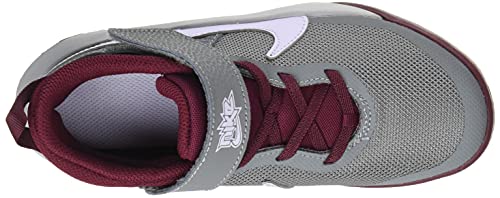 Nike Team Hustle D 10, Basketball Shoe, Smoke Grey/Pure Violet-Dark Beetroot, 35.5 EU