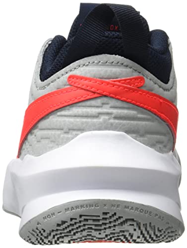 Nike Team Hustle D 10, Zapatillas Deportivas, Lt Smoke Grey Bright Crimson, 39 EU