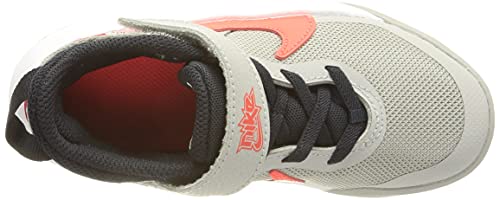 Nike Team Hustle D 10, Zapatos de Tenis Unisex niños, Lt Smoke Grey Bright Crimson, 33.5 EU