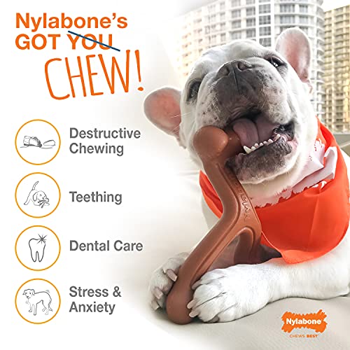 Nylabone - Dura Chew X Bone