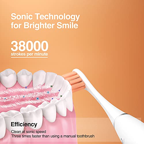 Oclean Flow Cepillo de dientes eléctrico Cepillo de dientes sónico 38.000 rpm 5 modos de limpieza 180 días de duración de la batería IPX7 Blanco (con 5 cabezales de cepillo de cerdas Dupont)