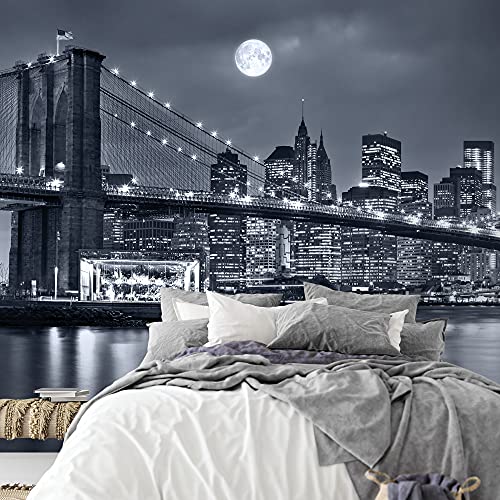 Papel Pintado Fotográfico New York 308 x 220 cm Tipo Fleece no-trenzado Salón Dormitorio Despacho Pasillo Decoración murales decoración de paredes moderna - 100% FABRICADO EN ALEMANIA - 9101010a