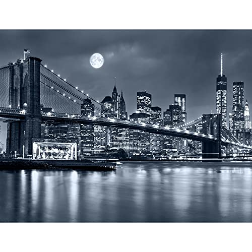 Papel Pintado Fotográfico New York 308 x 220 cm Tipo Fleece no-trenzado Salón Dormitorio Despacho Pasillo Decoración murales decoración de paredes moderna - 100% FABRICADO EN ALEMANIA - 9101010a