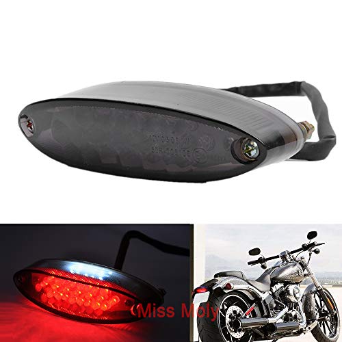 Piloto Trasero Moto, 28 LED Motocicleta Luz trasera de Seña,12V Luz Freno de Marcha para Motos Dirt Bike Quads ATV