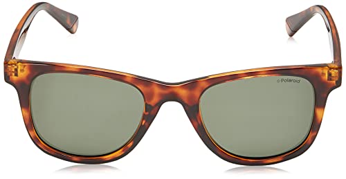 Polaroid PLD 1016/s/new Sunglasses, Marrón (086/UC Havana), 50 para Hombre