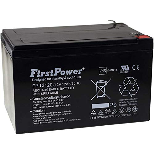 Powery FirstPower Batería de Gel para Sillas de Ruedas Scooter eléctrico Vehículos eléctricos 12Ah 12V VDS