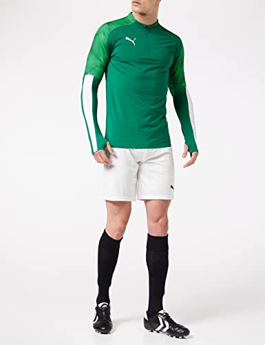 PUMA Cup Training 1/4 Zip Top Top, Hombre, Alpine Green-Pepper Green, M