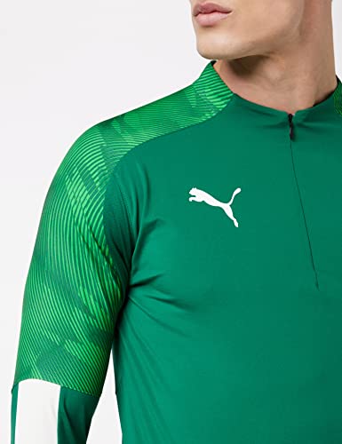 PUMA Cup Training 1/4 Zip Top Top, Hombre, Alpine Green-Pepper Green, M