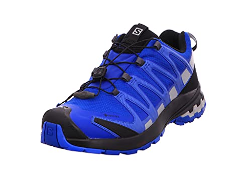 Salomon XA Pro 3D V8 Gore-Tex (impermeable) Hombre Zapatos de trail running, Azul (Turkish Sea/Black/Pearl Blue), 40 EU