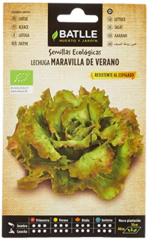 Semillas Ecológicas Hortícolas - Lechuga Maravilla de Verano - ECO - Batlle