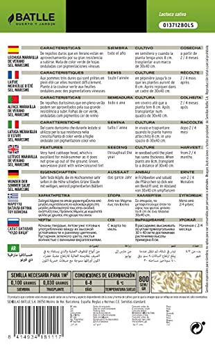 Semillas Hortícolas - Lechuga Batavia Maravilla de Verano sel. Maresme - Batlle