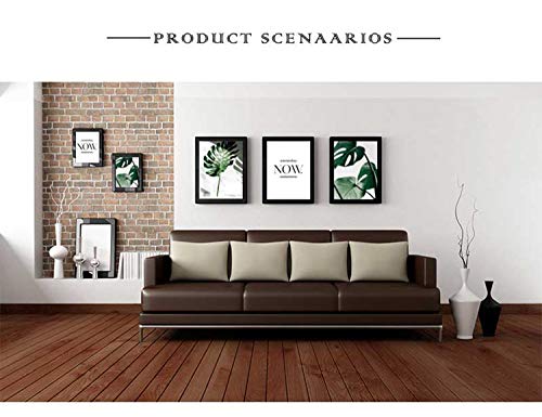 Set de 3 Posters Hojas Verdes y Citas y Cuadros Hojas Tropicales Lienzo Pintura Decorativo pared Salon Cuadro Impresión Fotografica PTGL002-XL