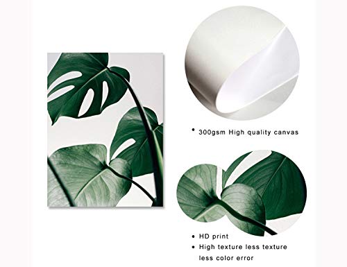 Set de 3 Posters Hojas Verdes y Citas y Cuadros Hojas Tropicales Lienzo Pintura Decorativo pared Salon Cuadro Impresión Fotografica PTGL002-XL