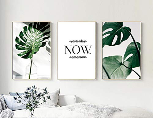 Set de 3 Posters Hojas Verdes y Citas y Cuadros Hojas Tropicales Lienzo Pintura Decorativo pared Salon Cuadro Impresión Fotografica PTGL002-XL