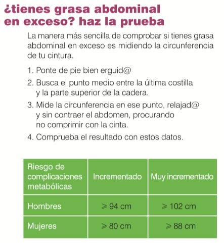 Soria Natural - ABDOGRAS - Reductor de grasa abdominal - Mejora el metabolismo - 28 comprimidos - Alto contenido de fibra