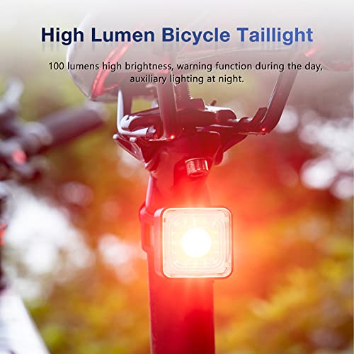 SUFUL Luces Bicicleta Kit, Luces Delanteras y traseras Impermeables IP66 para Bicicleta, luz de Advertencia de Freno con Cuentas de lámpara de Alto Lumen, luz Trasera USB MTB (Traje (Inteligente))