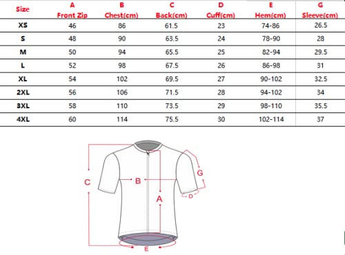 Suisse Blanche. Maillot Ciclismo Hombre Manga Corta, Ropa MTB, Equipación Ciclismo Hombre.