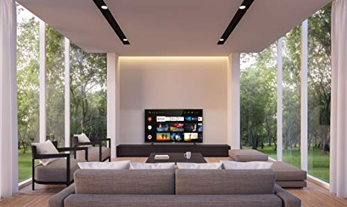 TCL 43BP615 43 Pulgadas, 4K HDR, UHD, Smart TV Powered by Android 9.0, Slim Design, Micro Dimming Pro, Android TV Smart HDR, HDR 10, Dolby Audio, Compatible con Google Assistant y Alexa