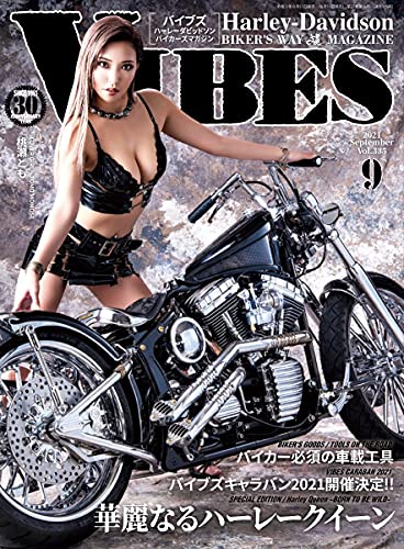 VIBES: volumeThreehundredthirtyfive (Japanese Edition)